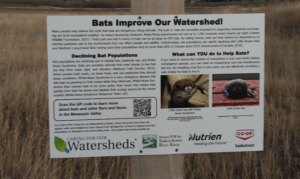 outdoor signage for bat house